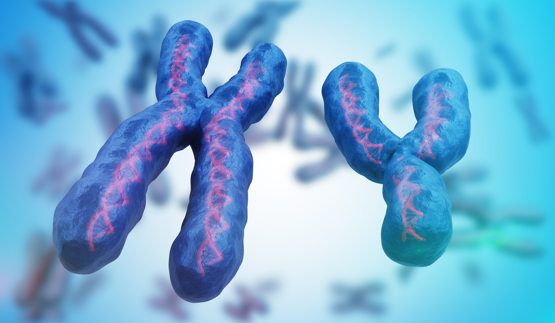 Y Chromosome Linked Gene Implicated In Autism S Gender Bias